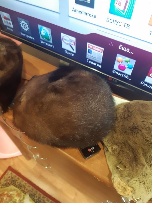 Продам женские норковые шапки