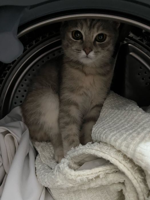 4 айлык лотокка уйренген барин жей береди тактильная