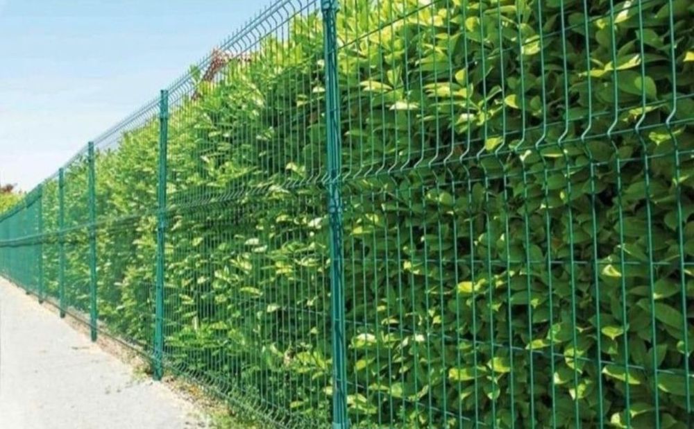 Executăm Diferite modele de Garduri