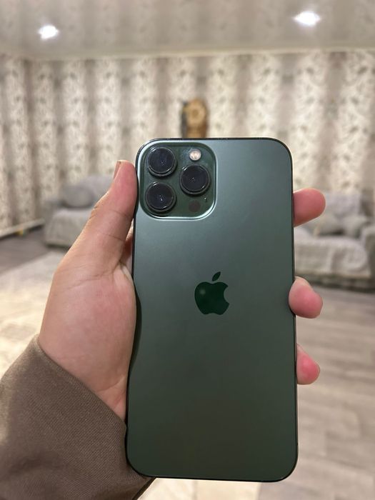 Iphone 13 pro max