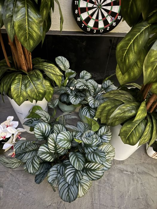 Искусственные растения, декор для дома