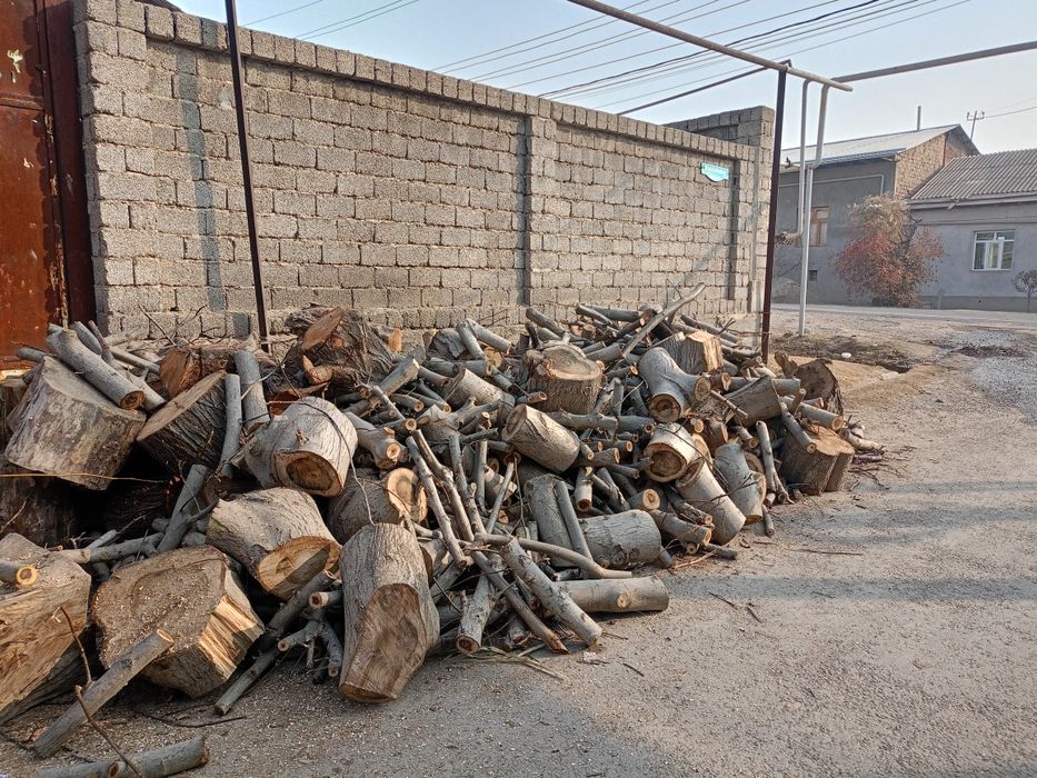 Narxlarini oʻziga qarab gaplashigʻadi