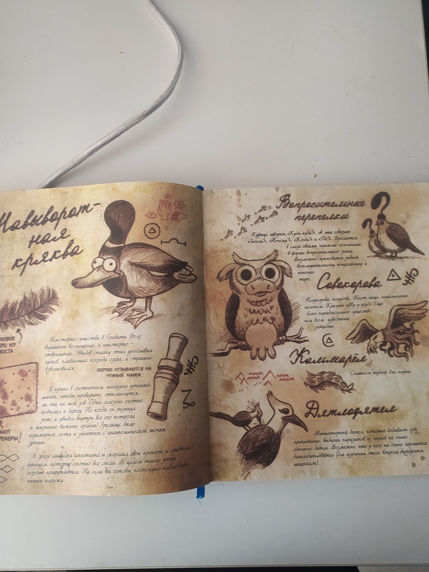 Графитифолз книга