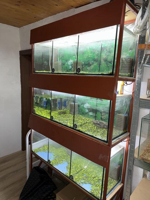 Стелаж с аквариуми