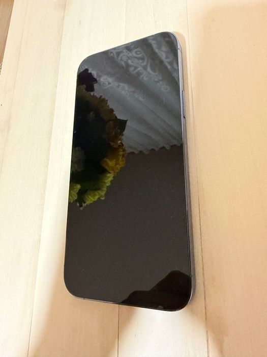 iPhone 13 Pro Max 256Gb