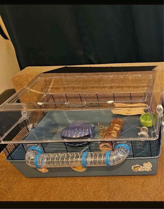 Cusca hamster pitic/sirian