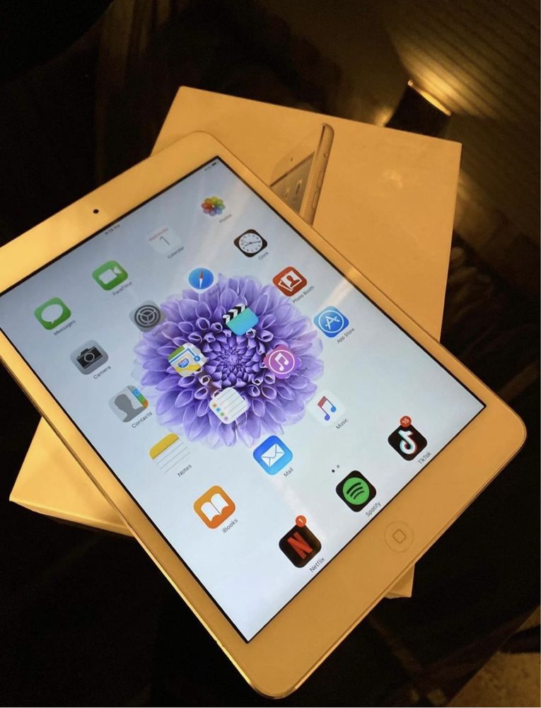 Apple iPad mini 16GB