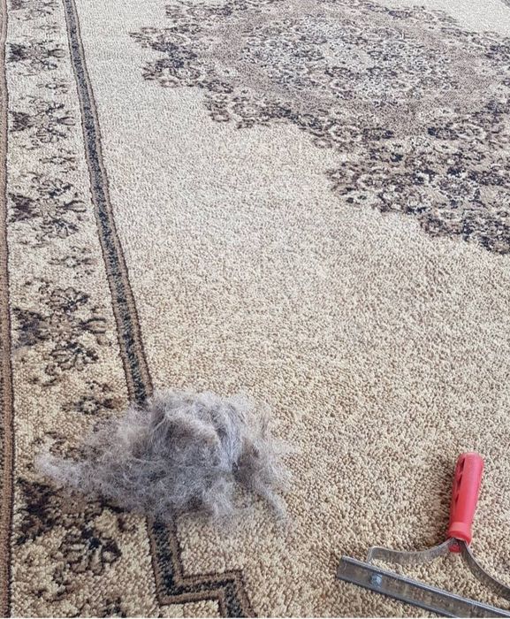 Чистка ковров  кылем жуу