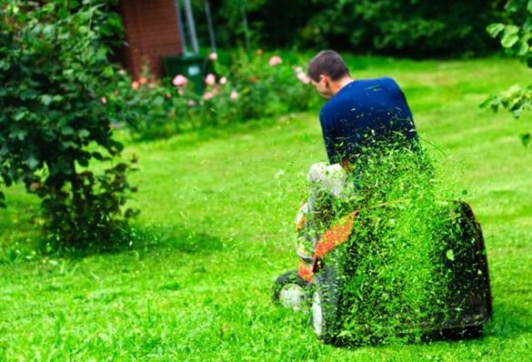 Градинарски услуги и разчистване на дворове