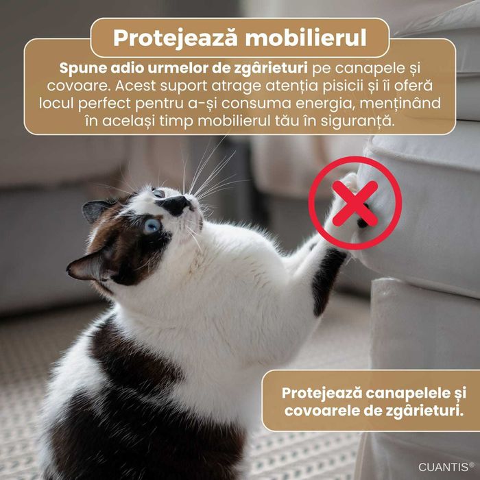 Placa de zgariat pentru pisici