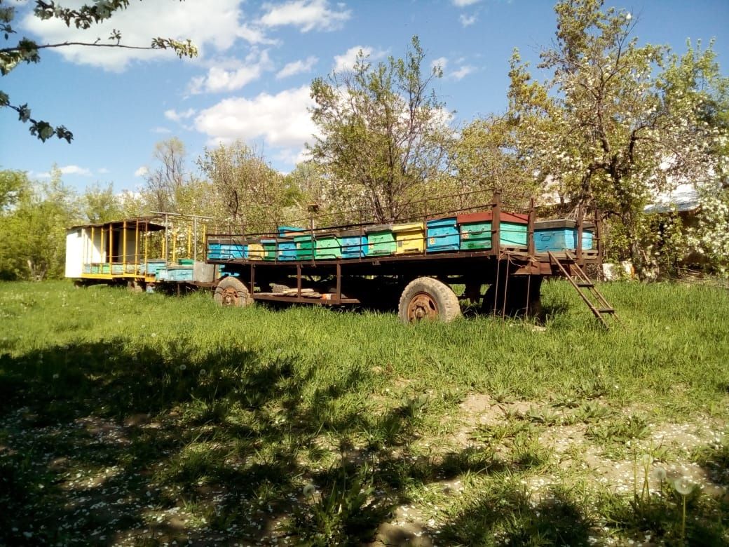 Прицеп для пчёл.