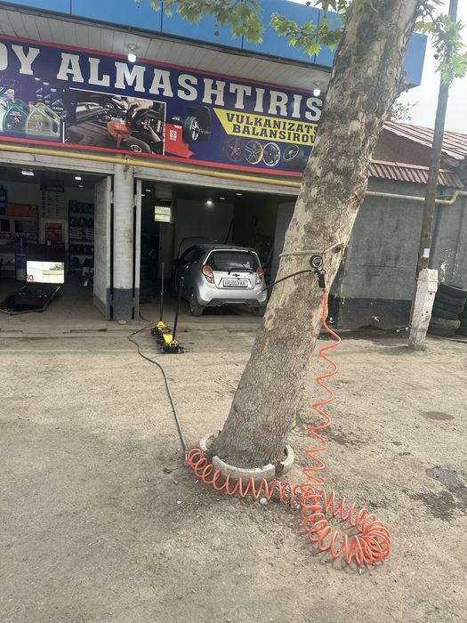 Tayyor biznes sotiladi Moyxona!