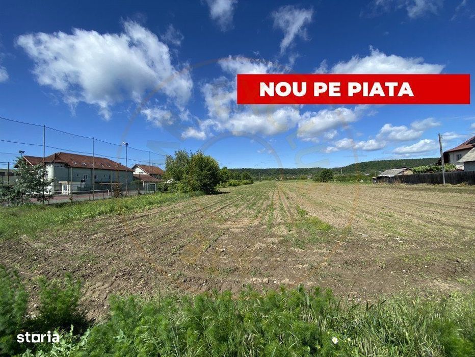 Teren intravilan 7.295 mp – Argeselu, Maracineni, AG