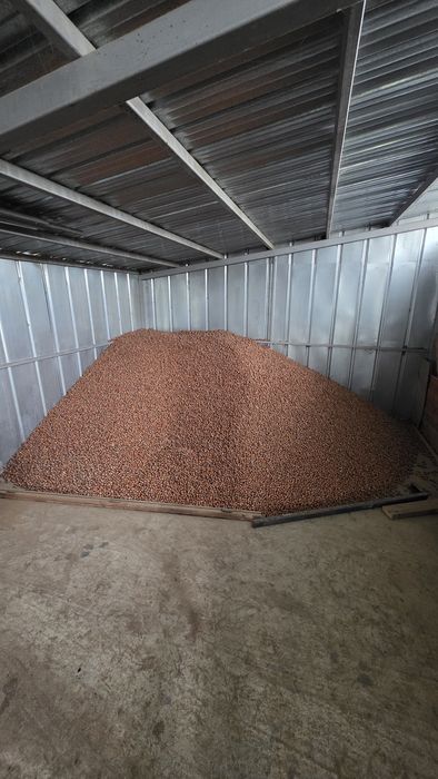 Лешници лично производство