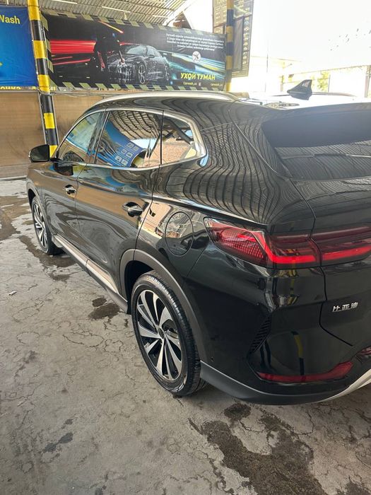 Byd champion 605