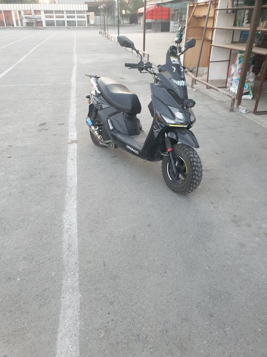 Sukuter samuray 2025 yil yangi