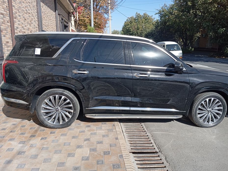 PALISADE  Сотилади