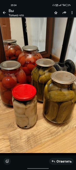 Домашние солённые грибы (грузди)