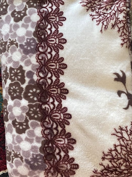 Momiq adyollar yangi