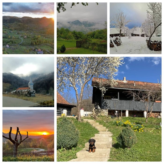 Casă la munte, în Apuseni, jud.HD