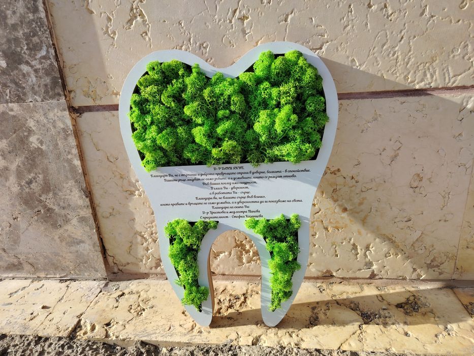 Индивидуални пана ,картини,подаръчета със скандинавски мъх