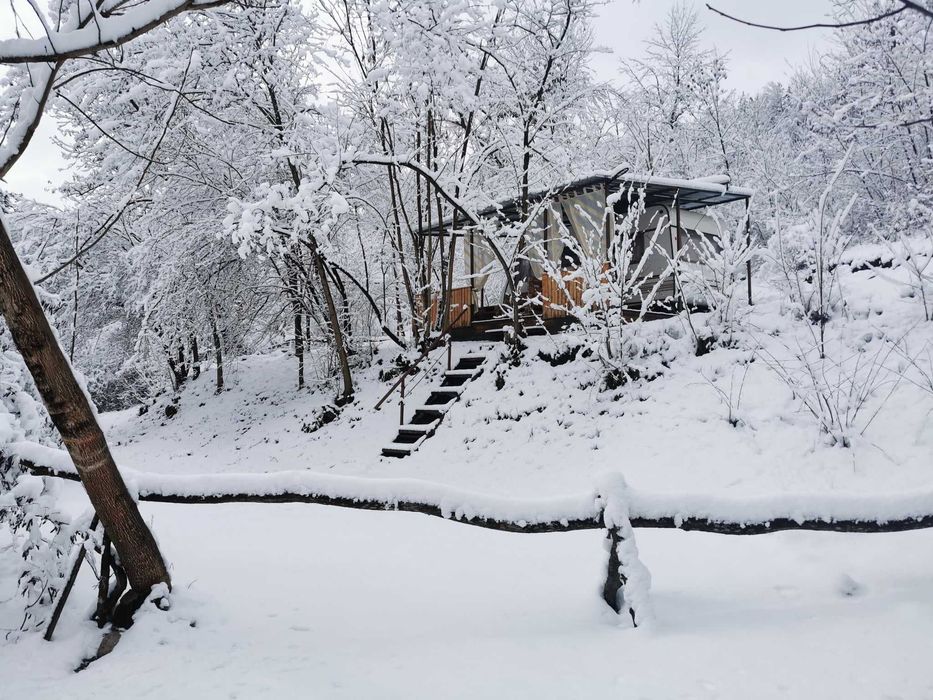 Продава се Парцел в с. Горско Косово, Област Велико Търново - 4400 кв.м за 7 €/кв.м - Снимка #10