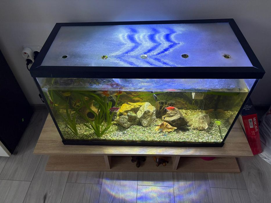 Acvariu 126 litri cu capac