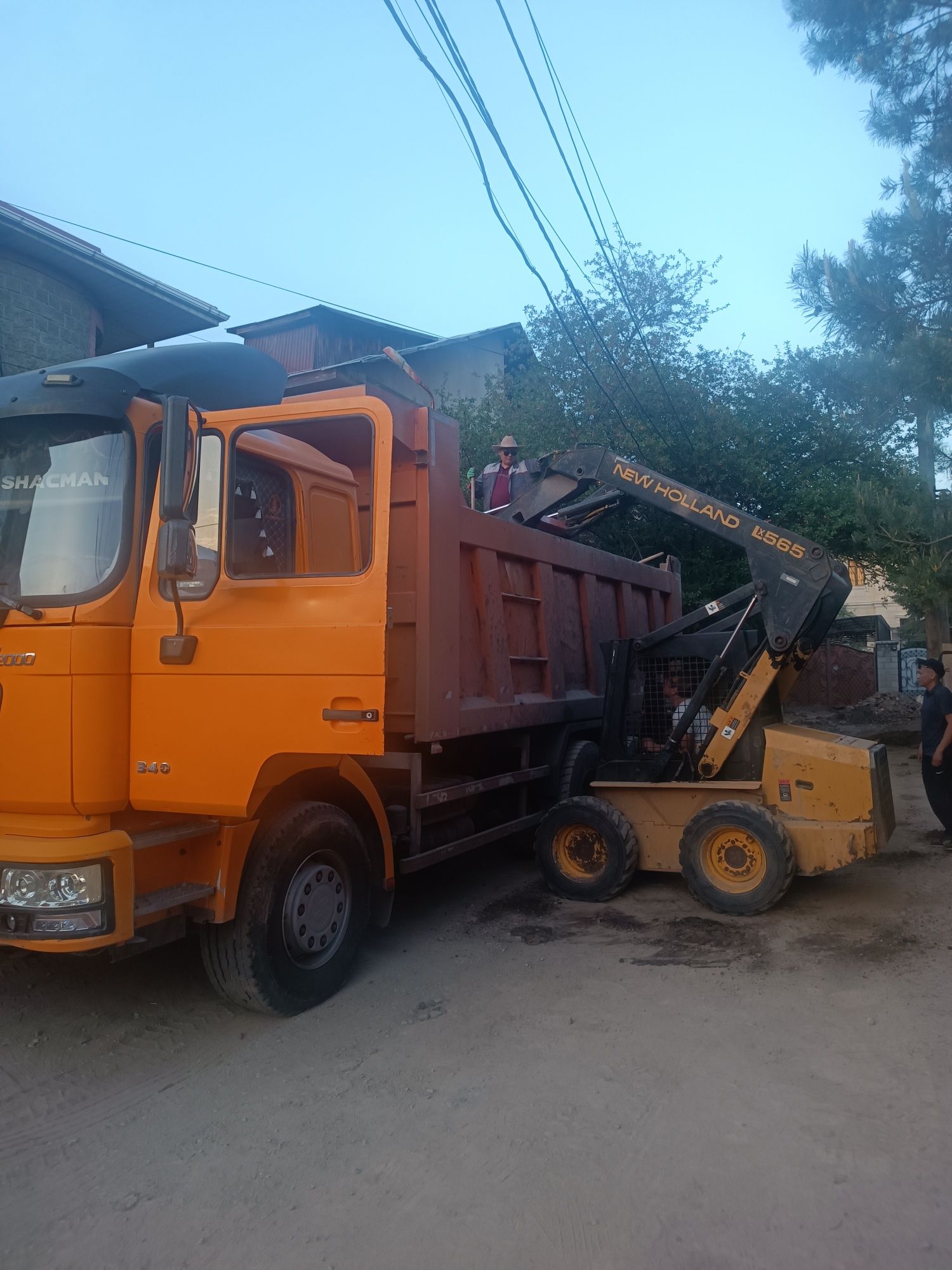 Бобкат аренда bobcat