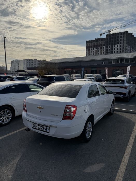 Cobalt 2025 masla nomer taqilgan tayor