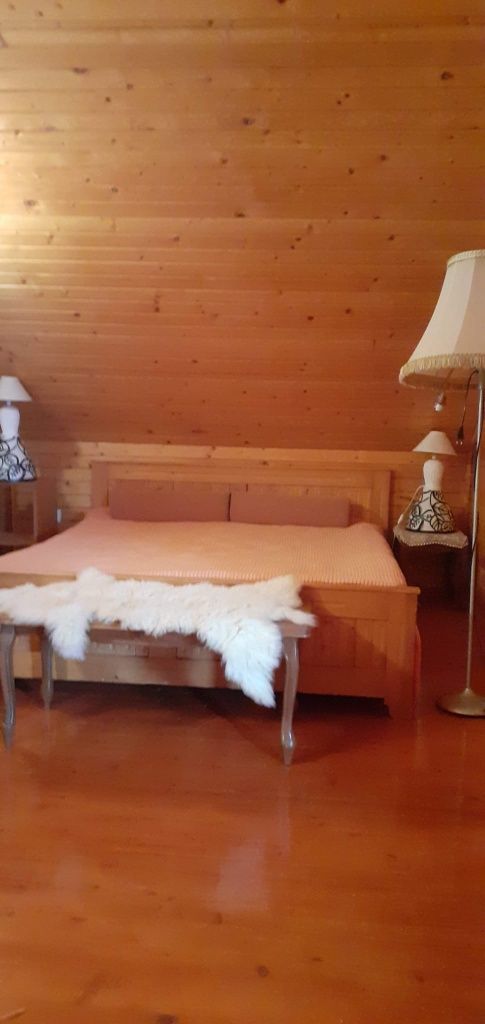 Casa Branesti cu deschidere la lac.