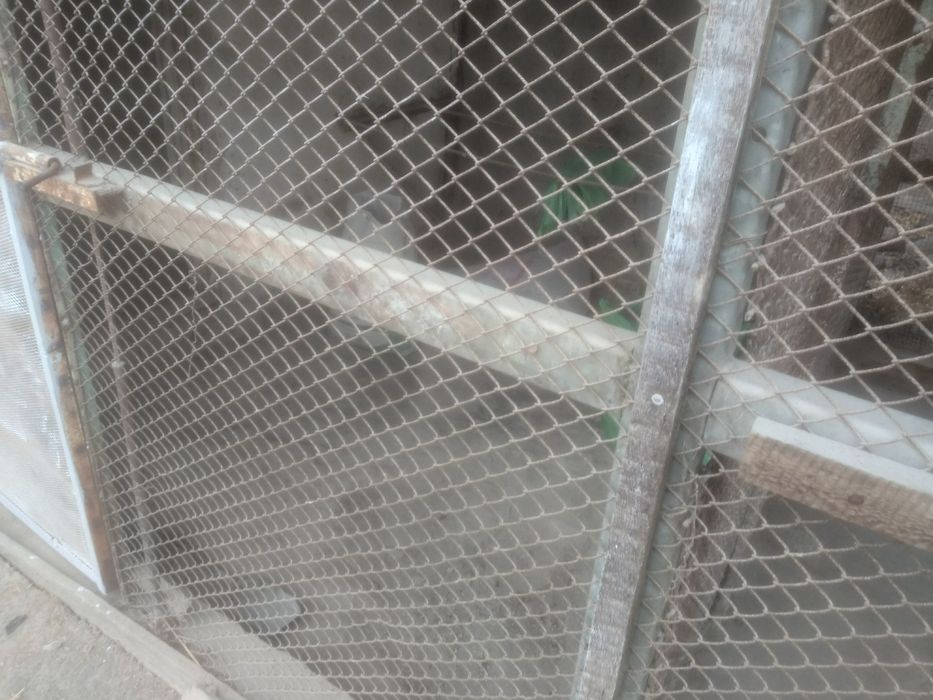 Продается участок в Яшнабдском районе 4,8 соток СРОЧНО!!!