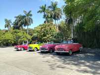 Inchiriere Auto Best Price
