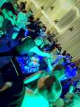 Cocktail bar evenimente (nunta-botez-majorat-party)