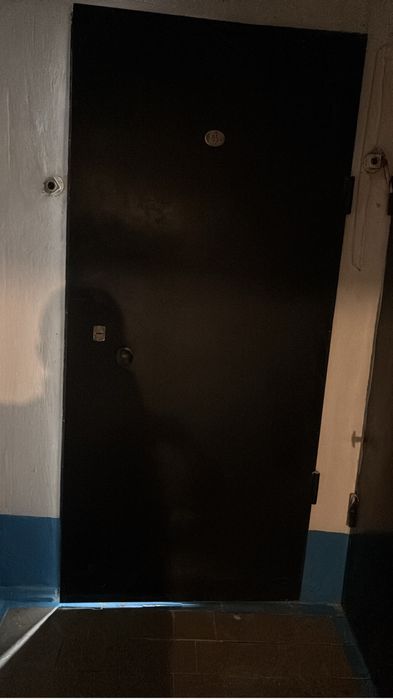 Дверь входная железная