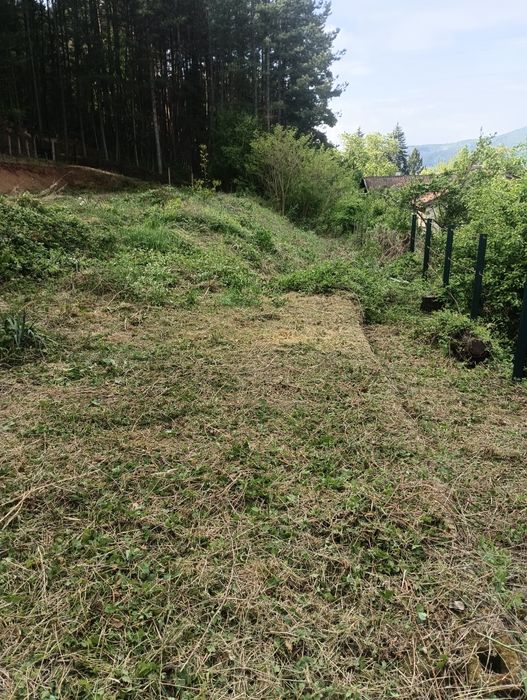 Почистване на парцели,дворове и запустели имоти