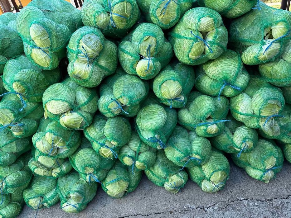 Varză de Buzău..