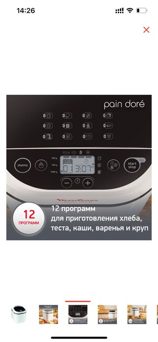 Хлебопечь Moulinex OW2101