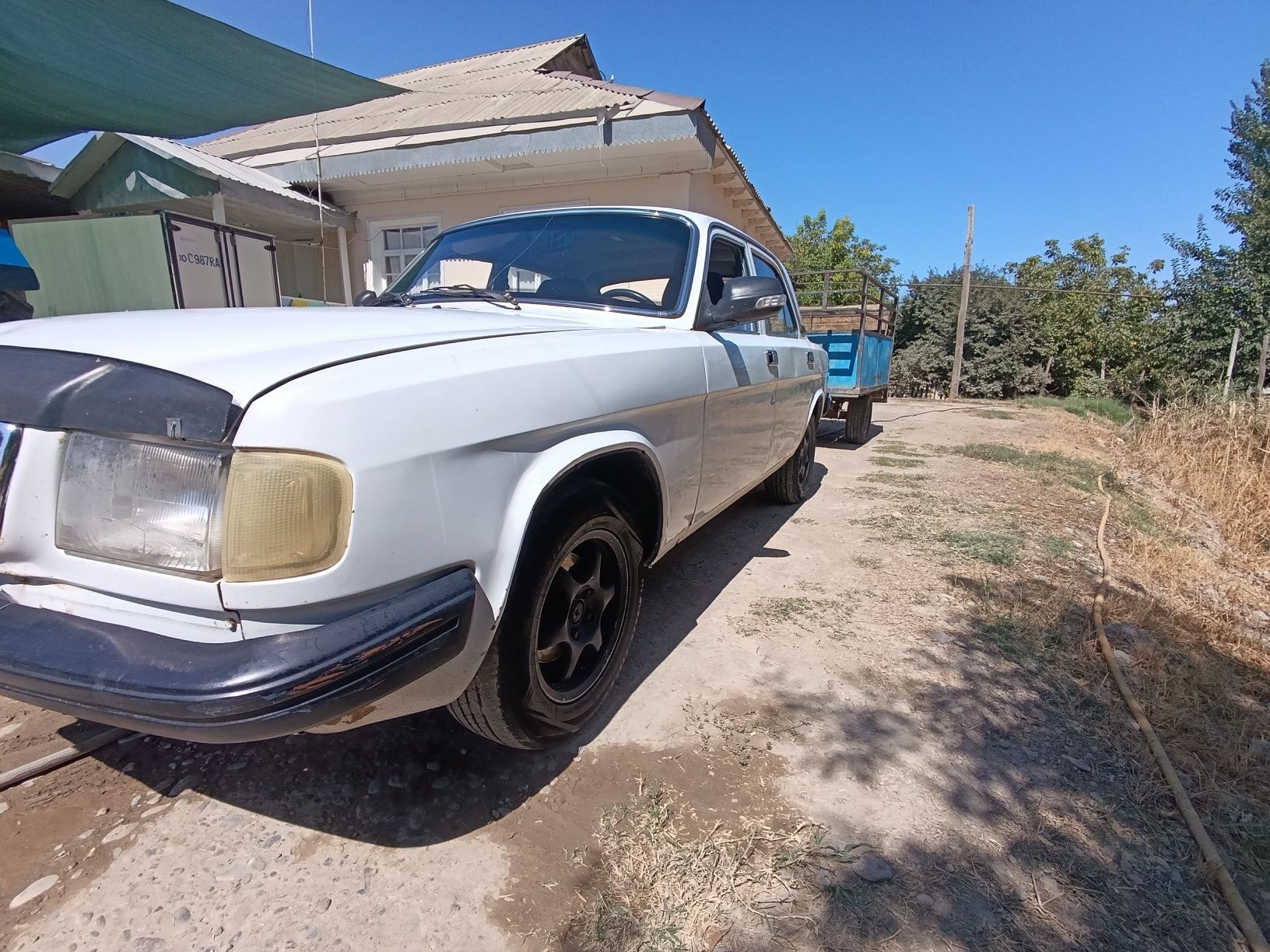 Volga 3110 prsepi biln