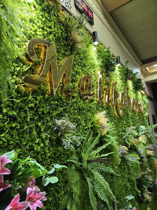 Sunniy osimliklar | Gul | Fitostena | Logotip | Искуссвенное