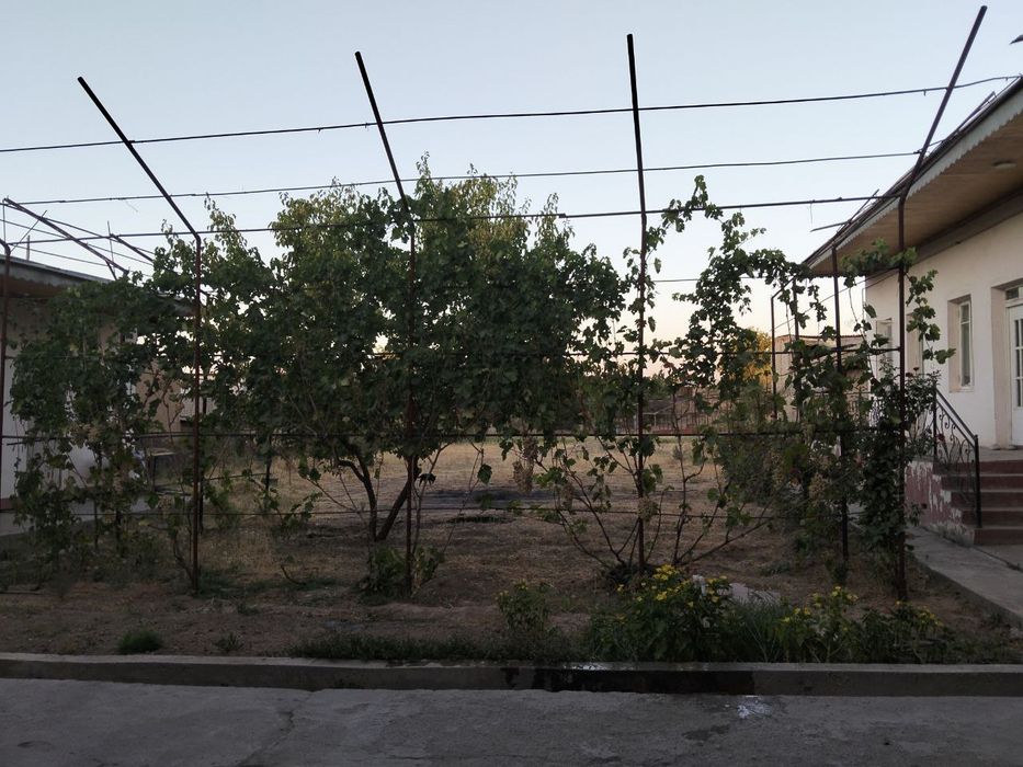 13 sotiq hovli sotiladi