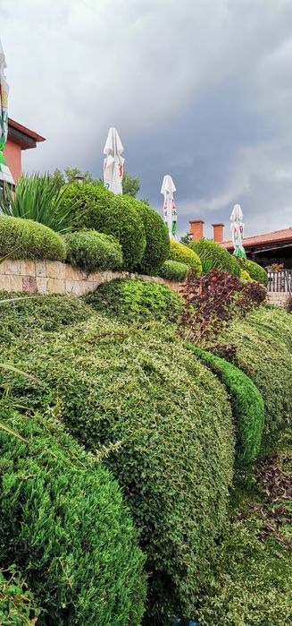 Почистване на дворове. Косене на трева, храсти, рязане на дървета.