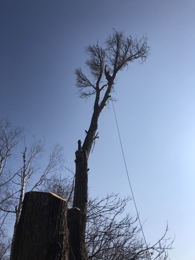 Alpinist utilitar Iasi