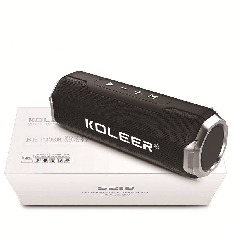 Колонка koleer S218