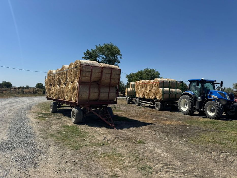 Baloti din paie de grau 2025