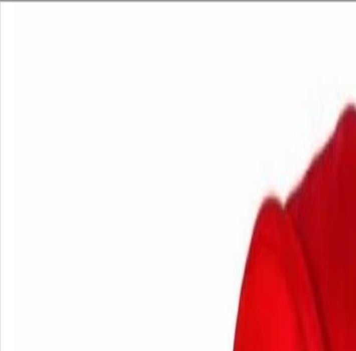 Tricicleta pliabila Urbio Air Coccolle, Rosu de vanzare