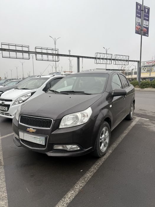 Nexia 3   Нахт аренда