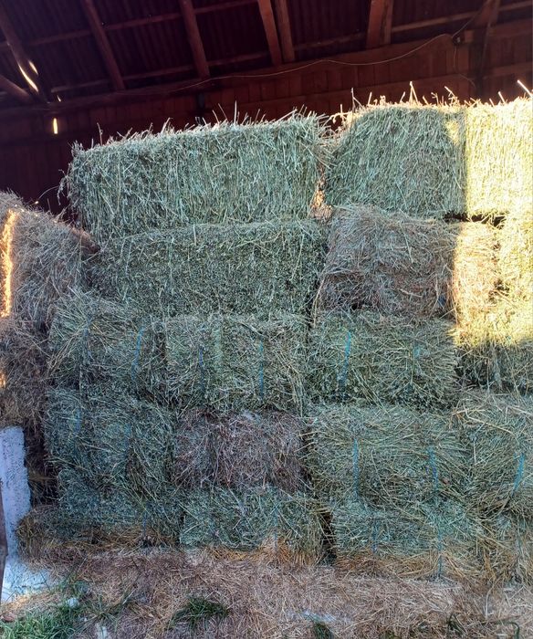 Baloți de lucernă și fân