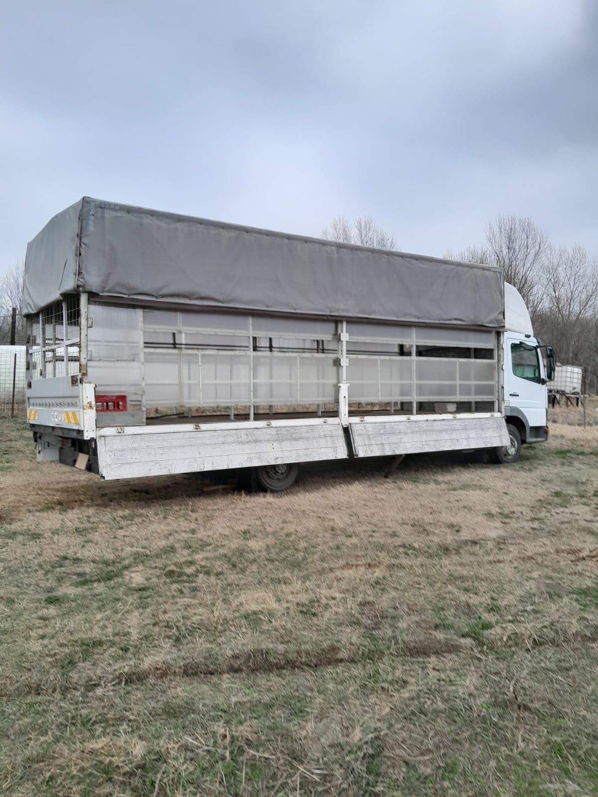 Camion apicol Mercedes Atego 815