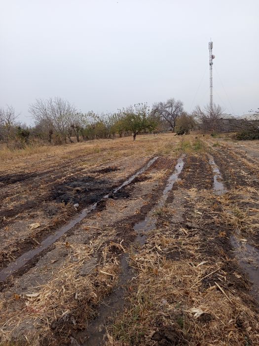 Bo'sh yer 15 sotik 2 ga bolib ham sotamz