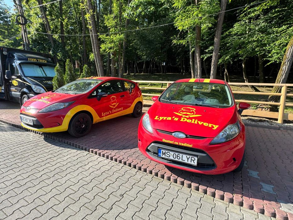 Flotă Auto Livrare de Vânzare – Ford Fiesta